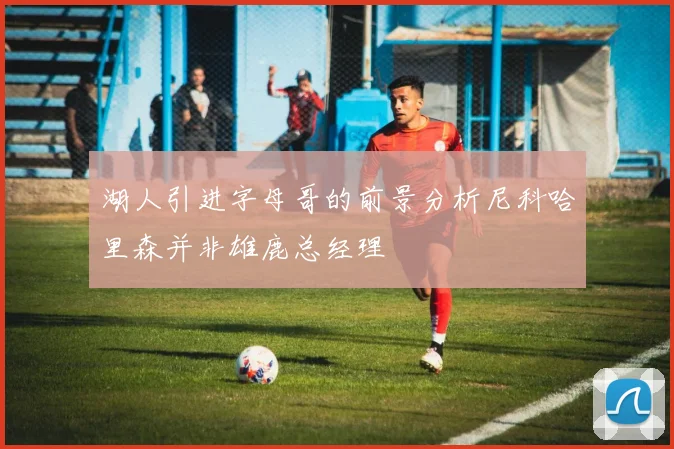 湖人引进字母哥的前景分析尼科哈里森并非雄鹿总经理